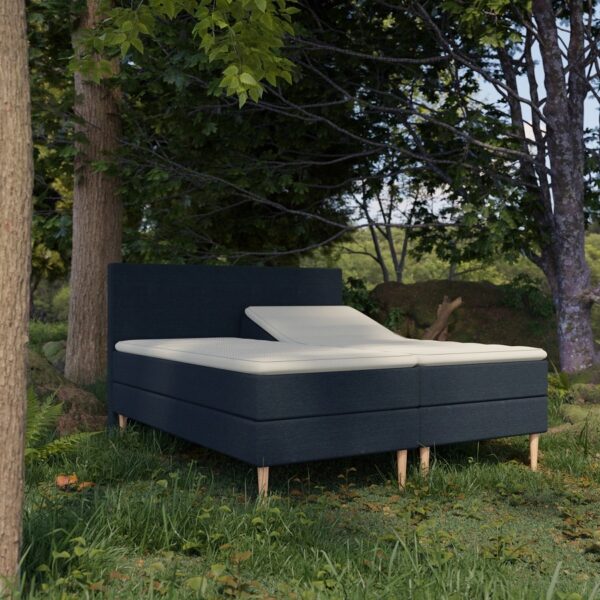 Organic Elevations Seng Med Latex  Topmadras 100 Naturlatex Bomuldsbetræk Fra Organic Sleep  Zoner Omega Blå 80x200  Lille Enkelt Seng på Afbetaling