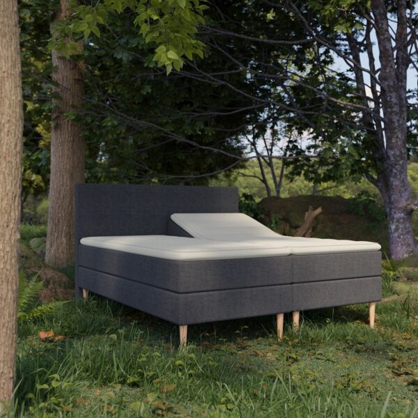 Organic Elevations Seng Med Pocket Latex Topmadras 100 Naturlatex Bomuldsbetræk Fra Organic Sleep Zoner Omega Antrasit 80x200 Lille Enkelt Seng på Afbetaling