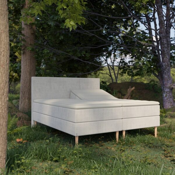 Organic Elevations Seng Med Pocket Latex Topmadras 100 Naturlatex Bomuldsbetræk Fra Organic Sleep Zoner Omega Beige 80x200 Lille Enkelt Seng på Afbetaling