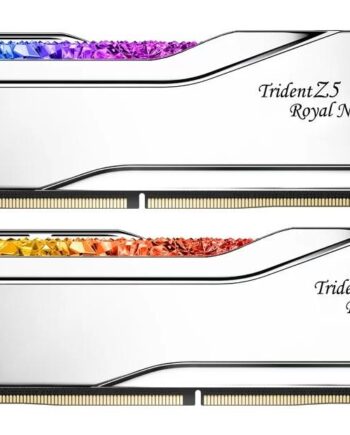 Ram Ddr5 Skill Trident Royal Neo  6000 Rgb på Afbetaling